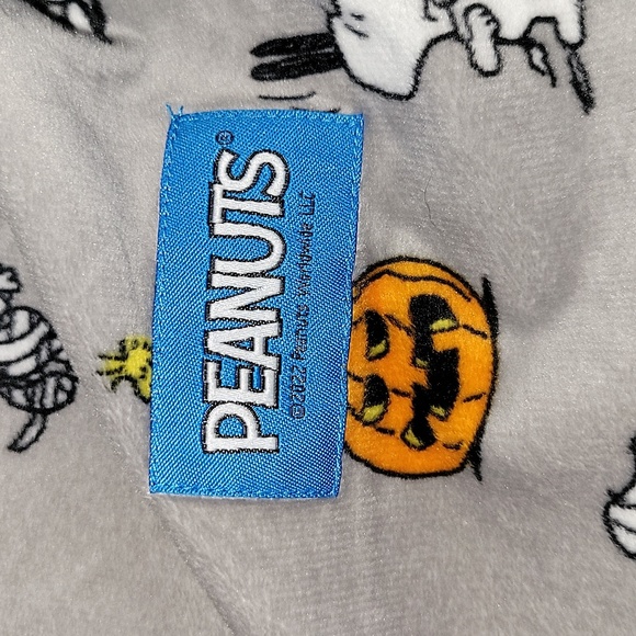NWT | Berkshire Dog × Peanuts Fall Halloween Snoopy & Woodstock Pajamas | Large - Picture 7 of 8